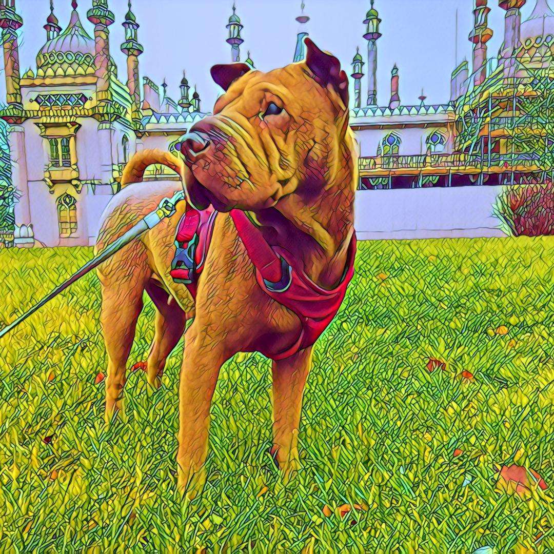 angelo2 media 962850457