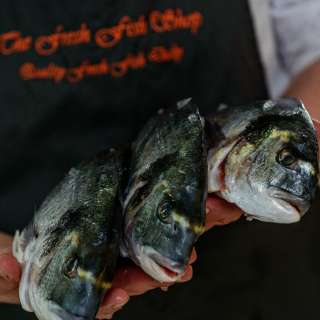 thefreshfishshop1 media 652586075