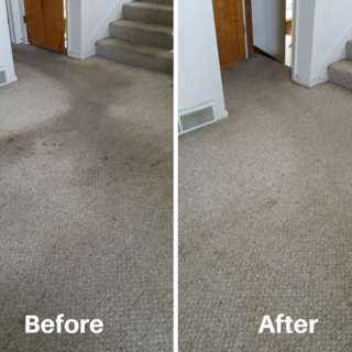 triplecrowncarpetcare1 media 477665692